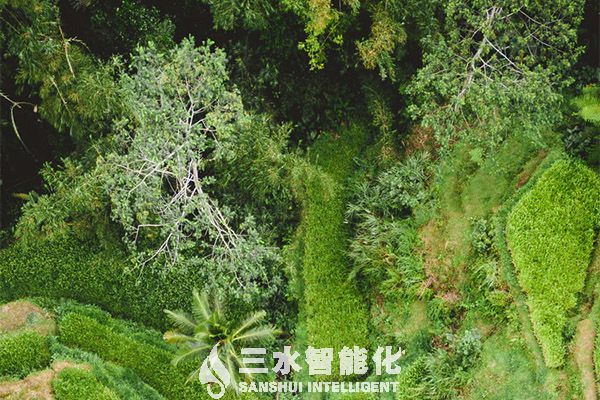 綠色低碳 綠色低碳