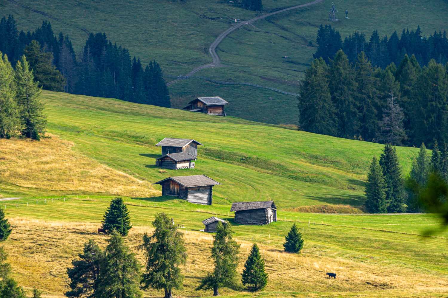 能源管理系統(tǒng)，城市綠色發(fā)展，節(jié)能減排