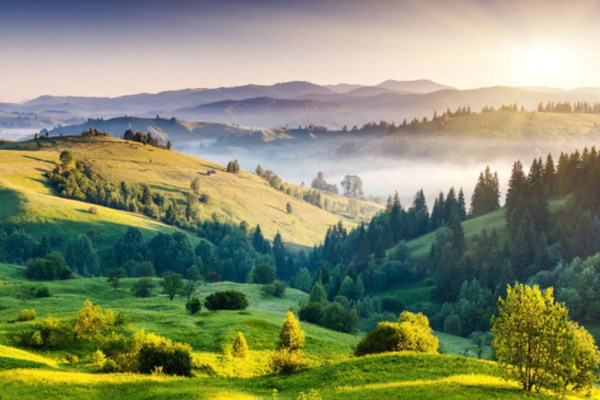 達(dá)成“雙碳”目標(biāo)不只是“減碳”！(圖1)